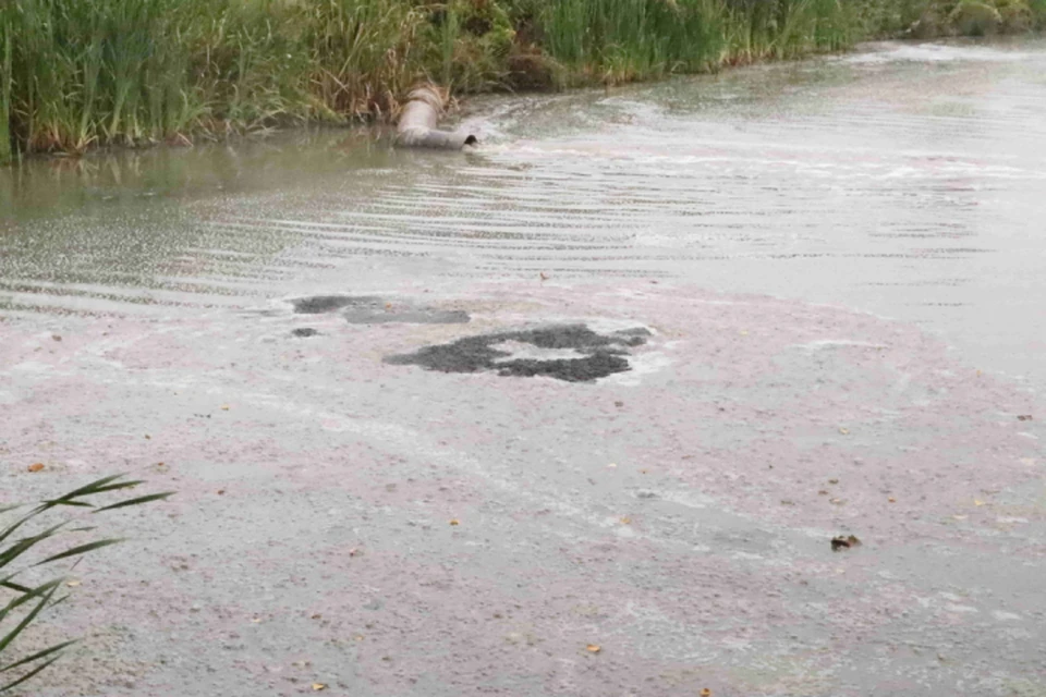 Вода в реке в нынешнем состоянии может нести опасность для здоровья местных жителей. Фото: ОНФ Кировской области