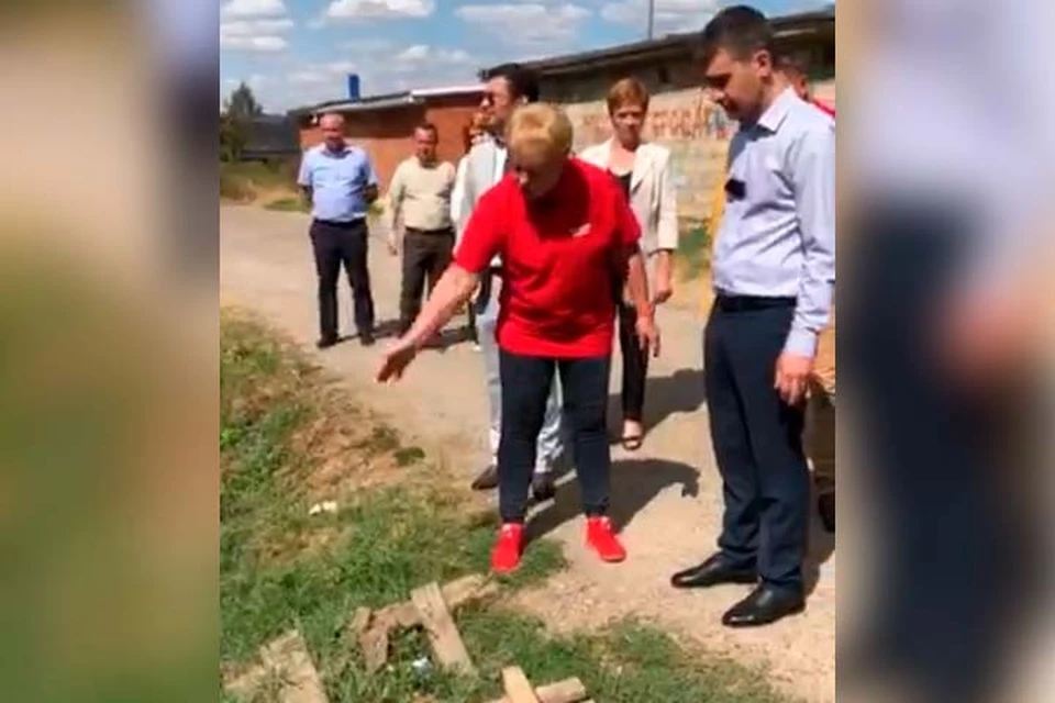 Новый облик коров