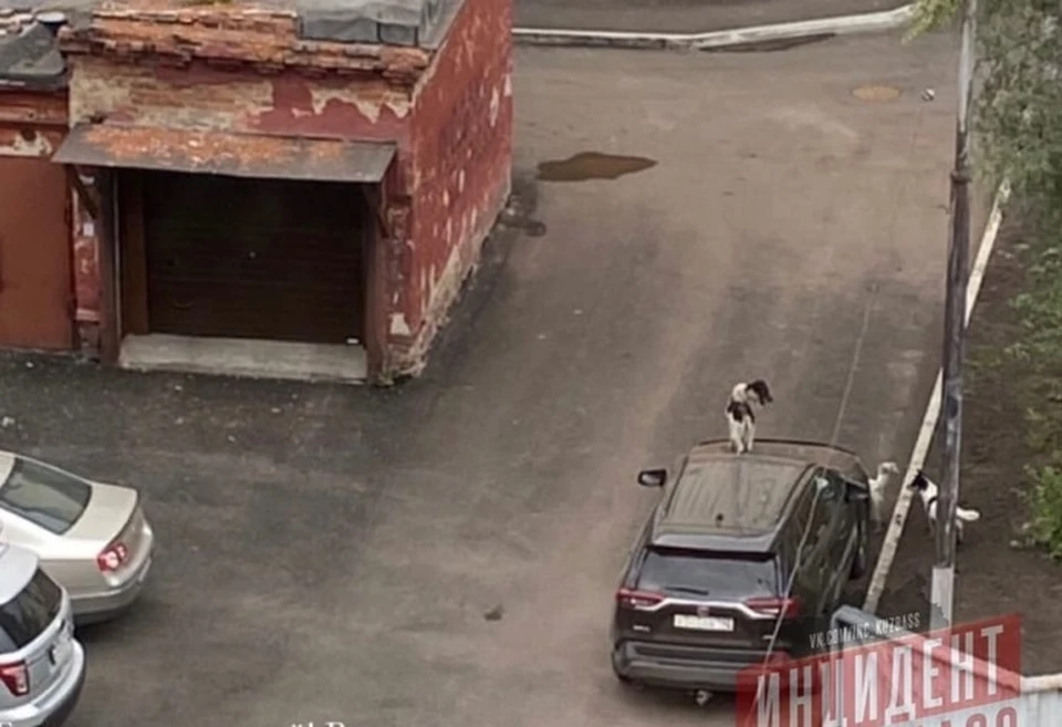 Фото: ВКонтакте/incident_kuzbass.