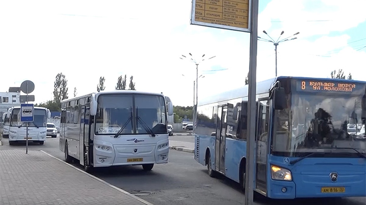 В Брянске запустили автобусы от ж/д вокзала до Погара, Стародуба, Красной  Горы и Навли - KP.RU