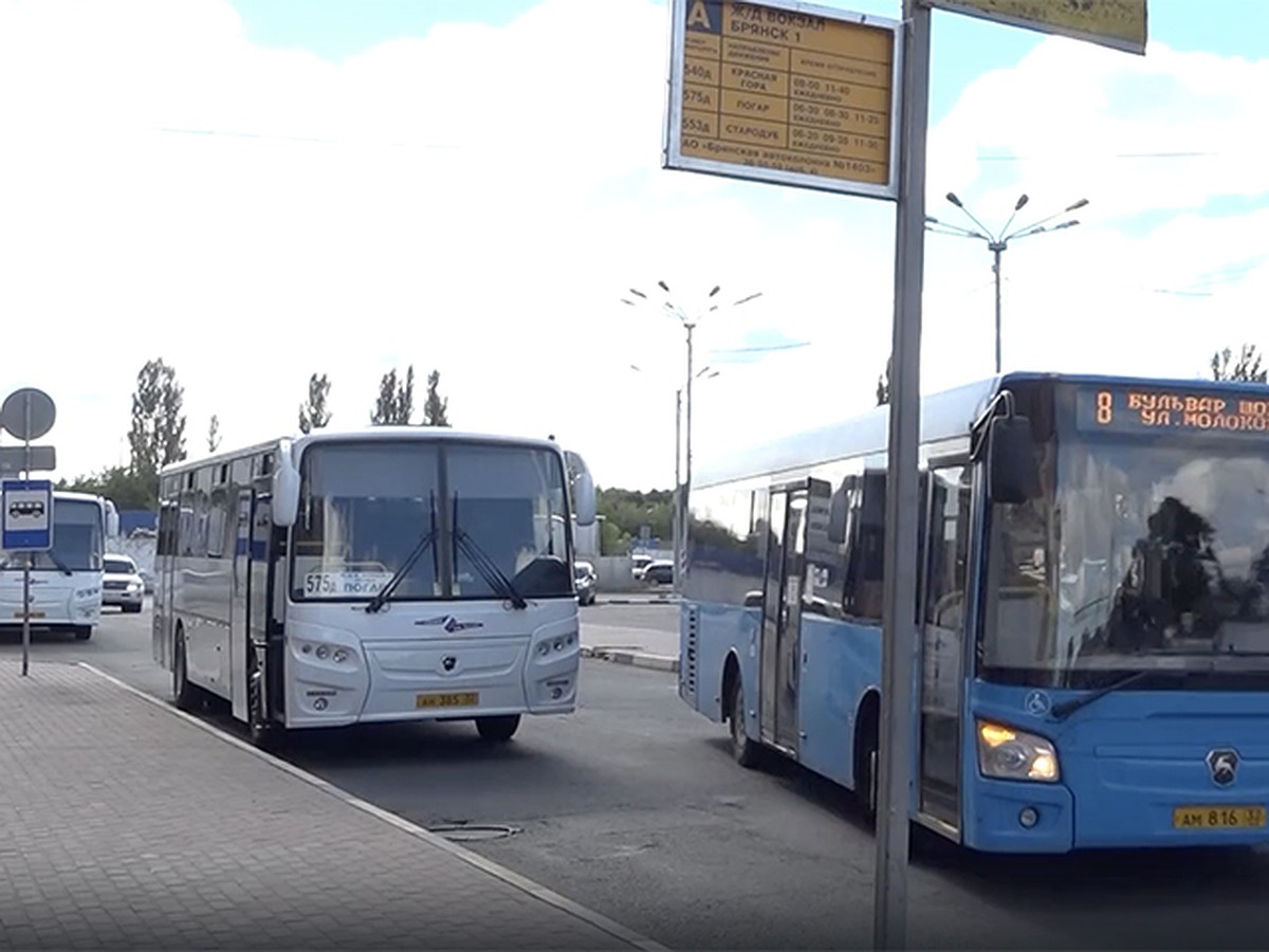 В Брянске запустили автобусы от ж/д вокзала до Погара, Стародуба, Красной  Горы и Навли - KP.RU