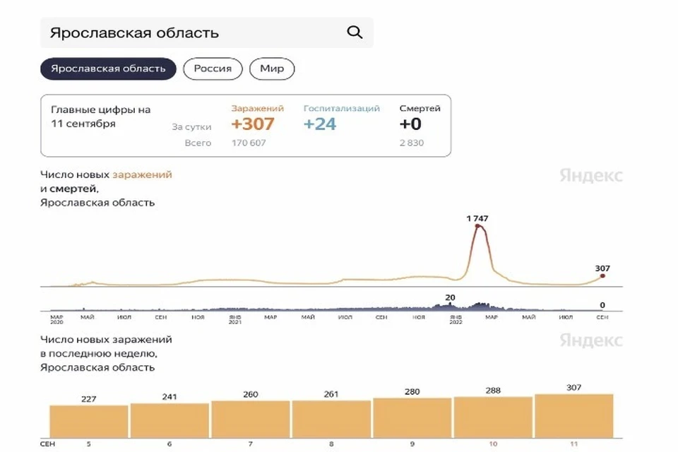Скриншот Яндекс.Статистика
