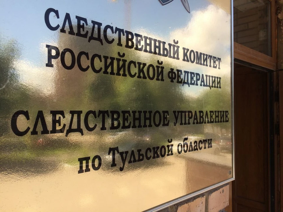 Следком Тульской области: девушка, обвинившая роддом Новомосковска в смерти или краже ребенка, даже не была беременна