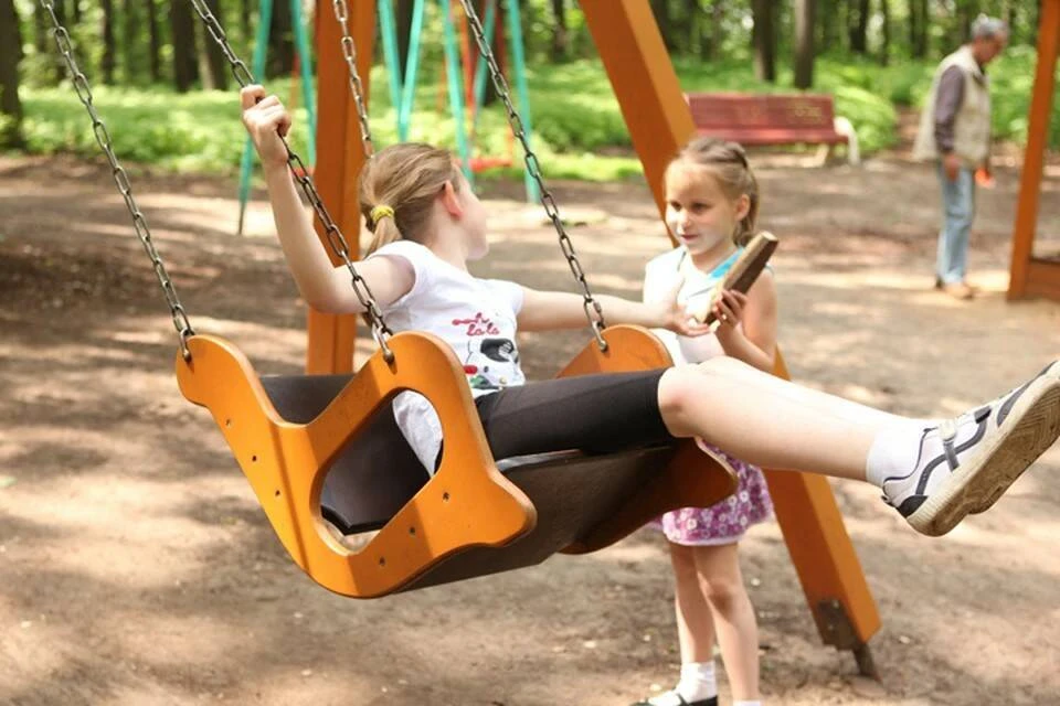 Эксперт по детским площадкам Сорокин рассказал, какие детские качели ...