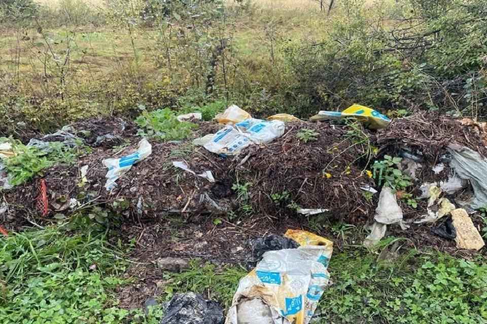 В Хабаровском крае нашли 46 несанкционированных свалок Фото: Управление Россельхознадзора по Хабаровскому краю