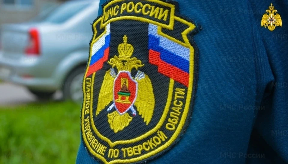 Снаряды обезвредили в Конаковском районе Фото: ГУ МЧС России по Тверской области