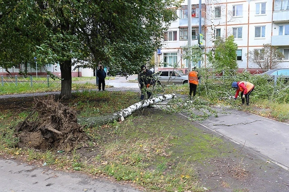 В первую очередь освобождали проезжую часть и проходы.