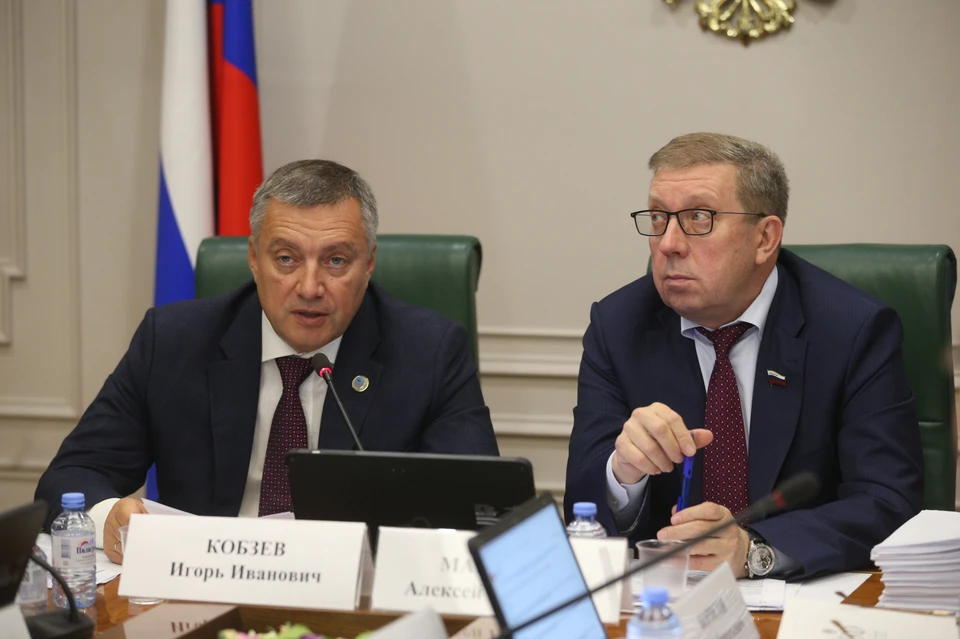 Игорь Кобзев представил Совету Федерации план решения экологических задач Иркутской области. Фото: Пресс-служба правительства Иркутской области.