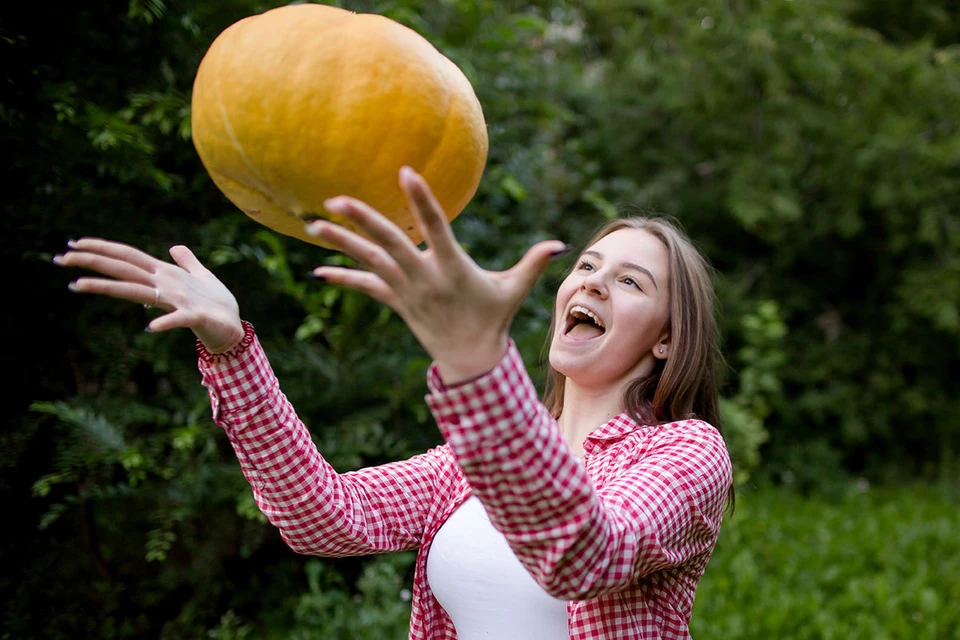 Pumpkin is full of vitamins and is stored for a long time, it can be frozen or fresh until spring.