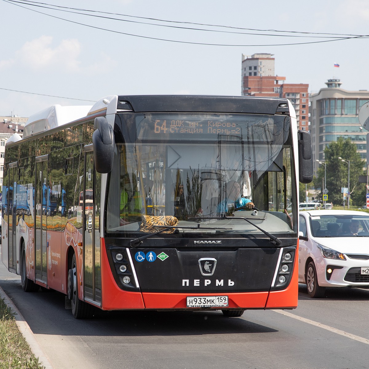 В Перми перенесут автобусную остановку «Улица Хохрякова» - KP.RU