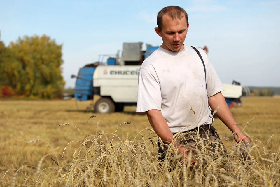 Треть россиян считает, что сотрудники агропредприятий должны получить отсрочку от мобилизации