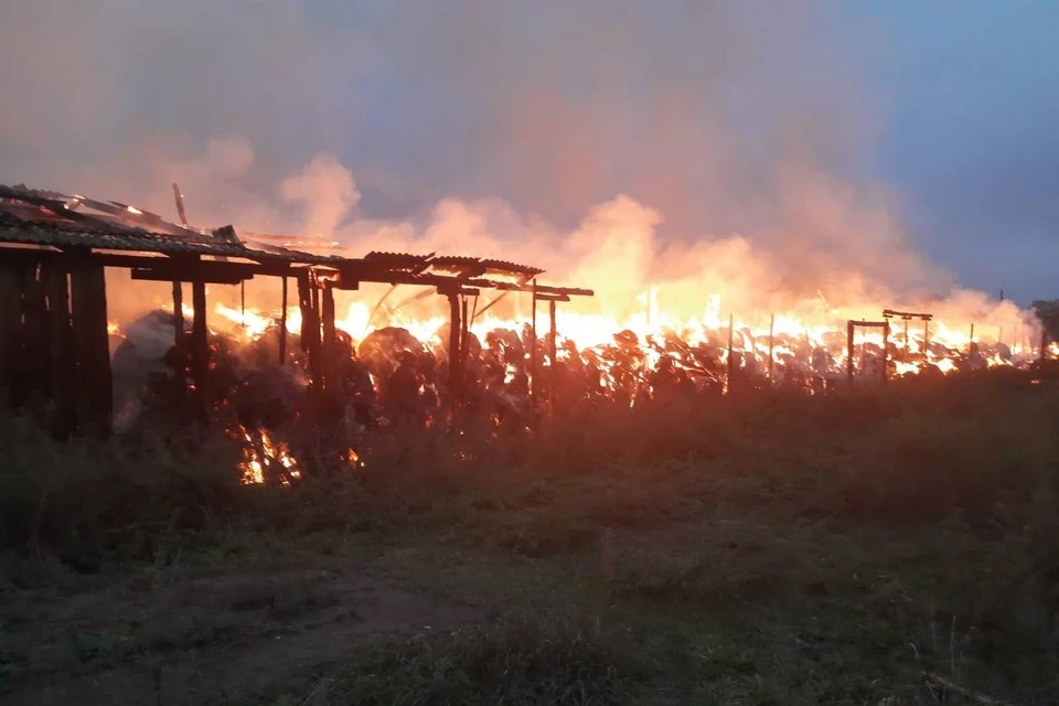 В Красноярском крае неизвестные сожгли запасы сена для целой фермы. Фото: МЧС