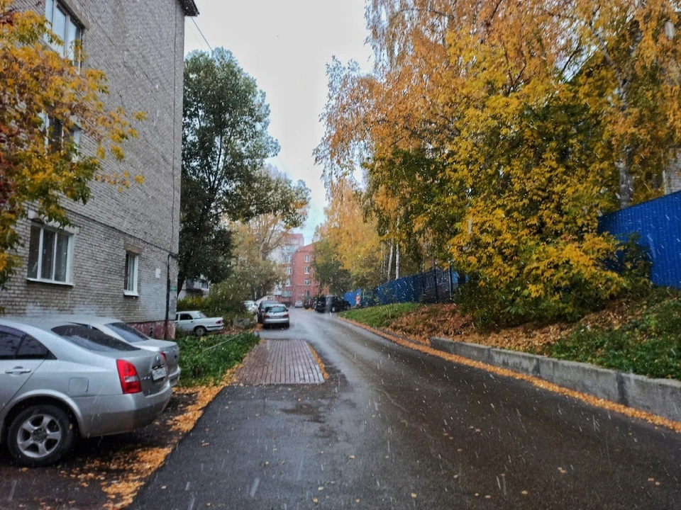 Есть водители, которые задержаны повторно по той же причине