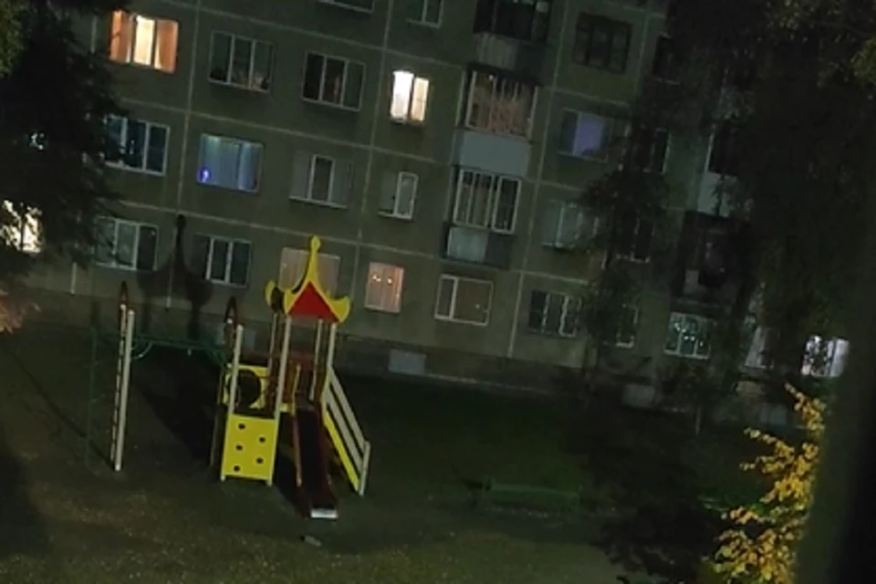В Новосибирске ложно сработала сирена в Кировском районе. Фото: стоп-кадр.