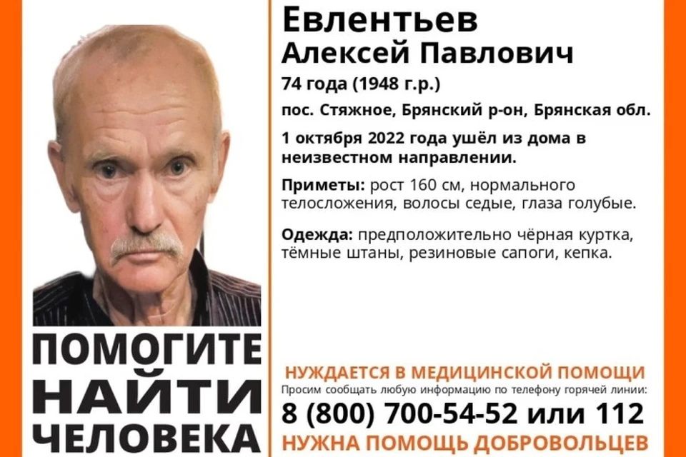 Фото: "Лиза Алерт".