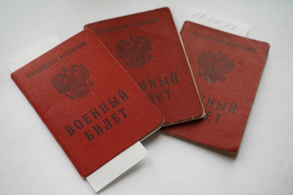 Во время частичной мобилизации 379 волгоградцев призвали по ошибке