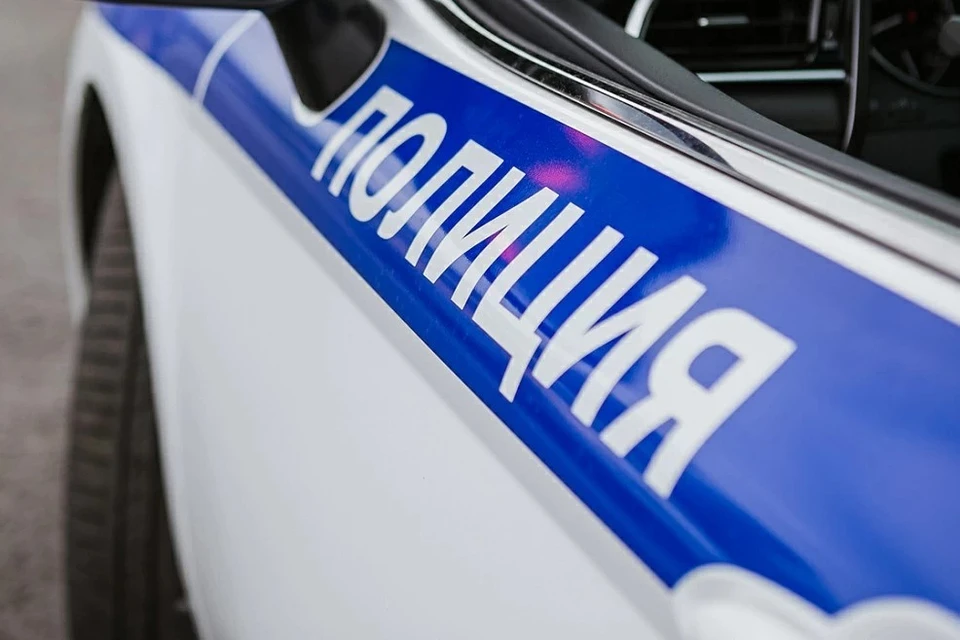 Подозреваемые задержаны при попытке уехать из города. Фото: МВД Медиа