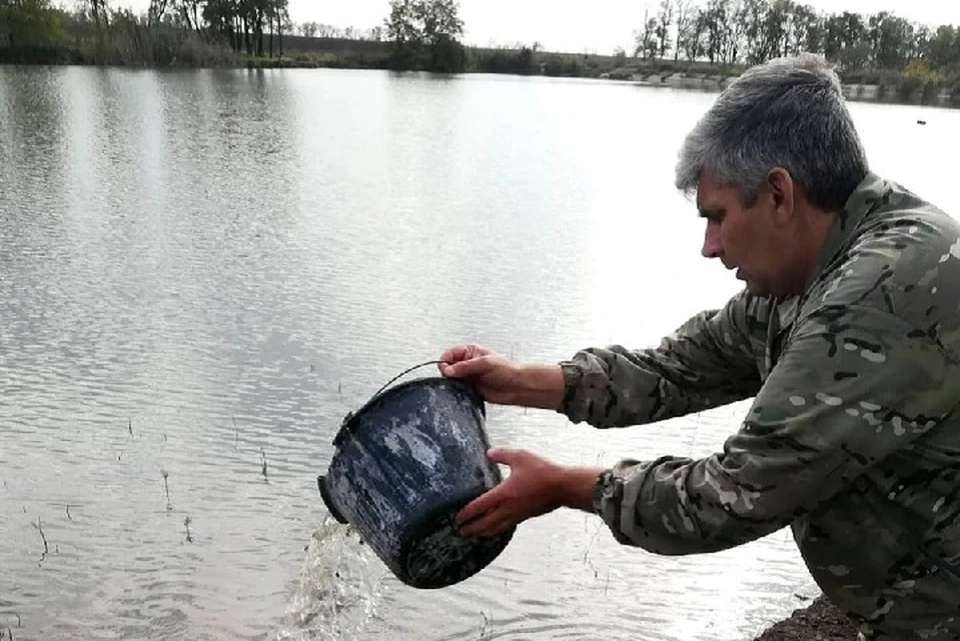 Три водоема в Антрацитовском и Свердловском районах зарыбили мальком собственного производства. Фото: Минприроды ЛНР