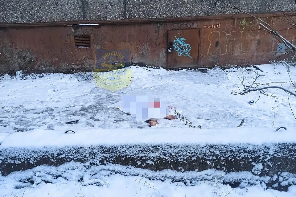 Погиб сотрудник больницы или пациент, пока не известно. Фото: vk.com/murmansk_dtp