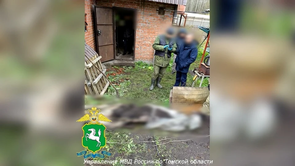 Житель Томска убил сожительницу на даче и замуровал ее тело в бетон. Фото: пресс-служба УМВД России по Томской области