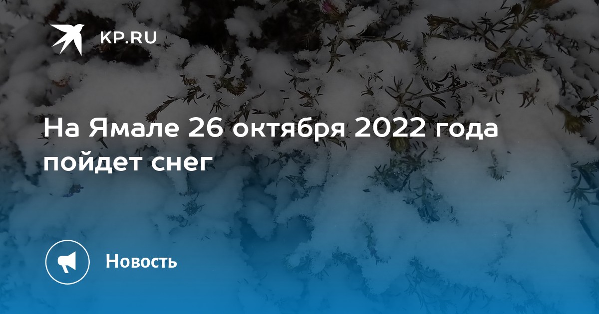 Какой снег пойдет. Снег в октябре. Ямал снег. Ветер на 26 октября 2022 год. Какого числа пойдет снег 2022 года.