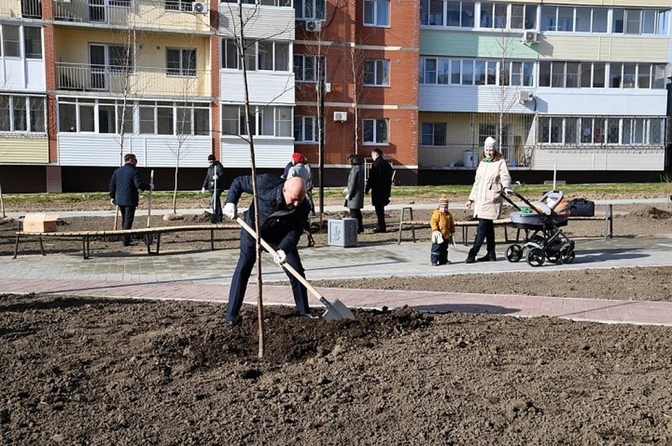 Прогулочная зона пополнилась двадцатью березами