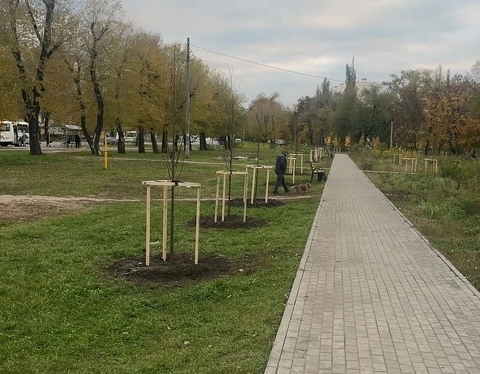 Фото городского управления экологии