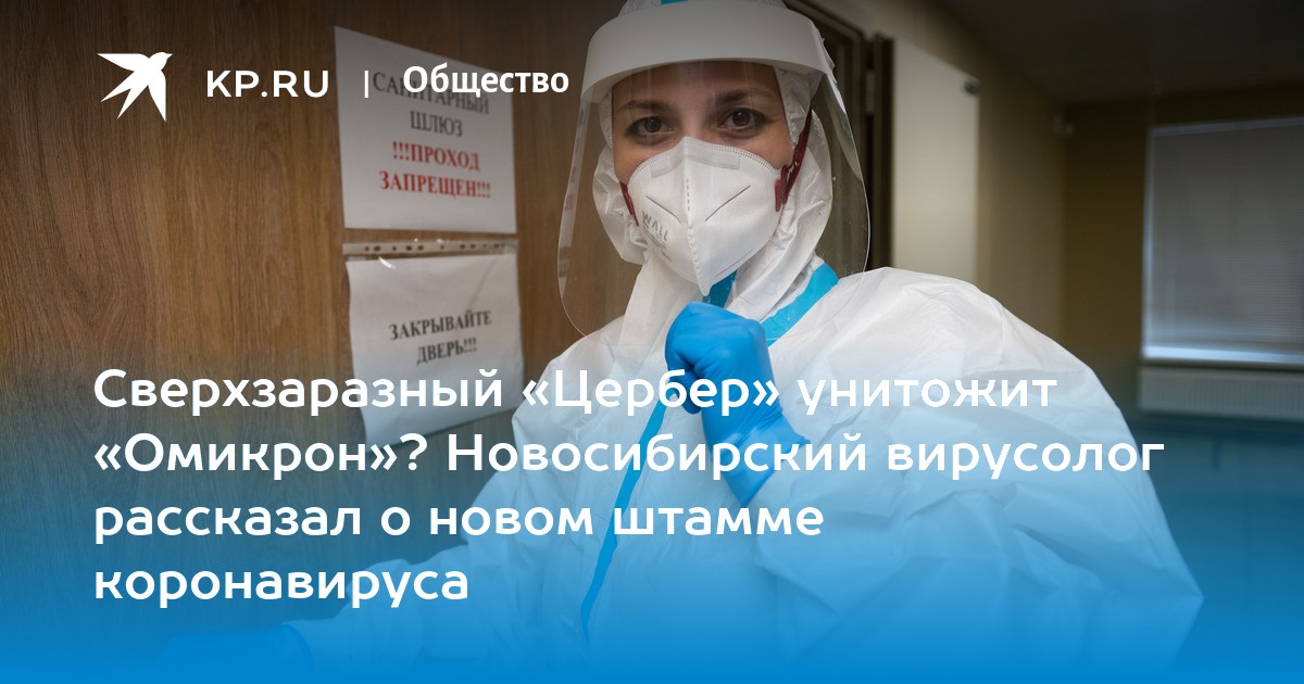 Новый штамм коронавируса 2024. Новый штамп коронавиру. Новый штамм коронавируса 2024. Новый штамм коронавируса 2024. Новый штамм коронавируса 2024.