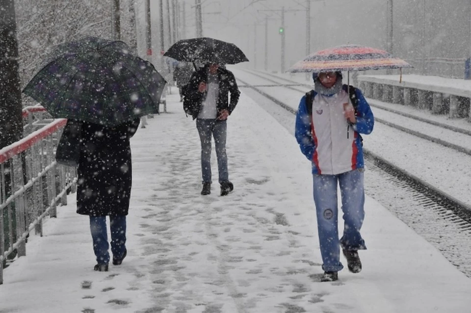 В последний день октября в Москве ожидается до +3 и мокрый снег
