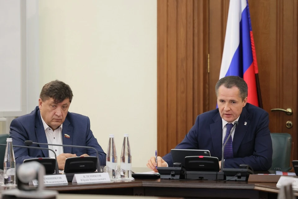 Вячеслав Гладков подчеркнул необходимость деятельности общественных организаций