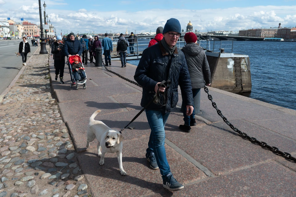 Если сравнить Петербург с Нью-Йорком, то американец на свою среднюю зарплату может купить товаров и услуг на 61 процент больше, чем петербуржец на свою. Вот так дела!