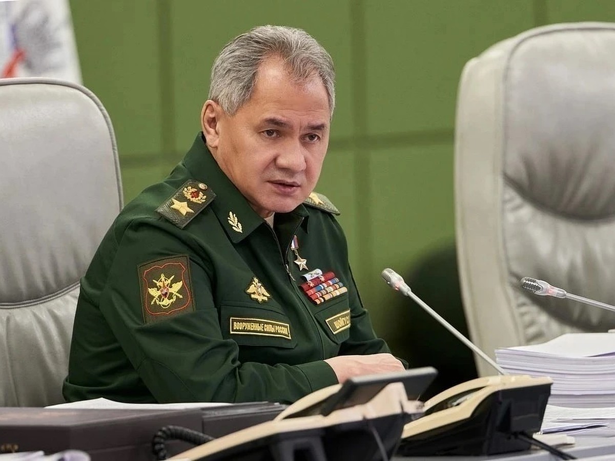 Помощь шойгу. Помощь шойгу