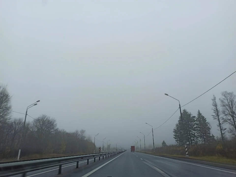 В Тверской области из-за тумана ухудшилась дорожная обстановка