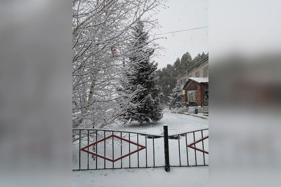 Снег укрыл плотным покрывалом землю и украсил голые ветки деревьев в Клявлино / Фото: Татьяна Столярова