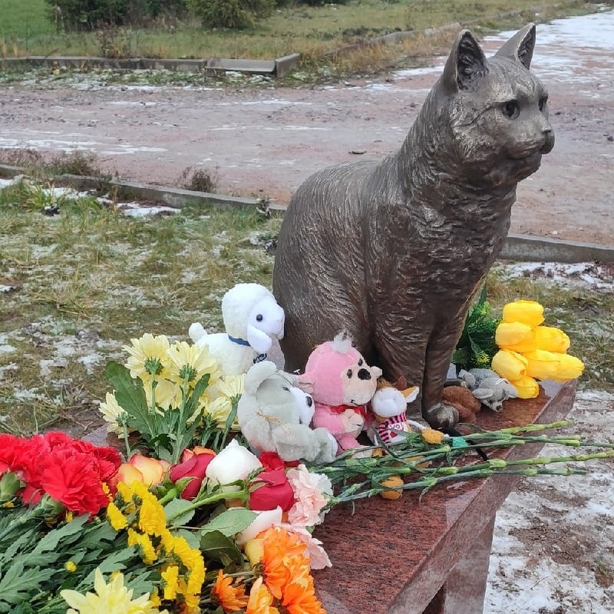 Памятник замученному живодерами коту Кузе установили в Петербурге - KP.RU