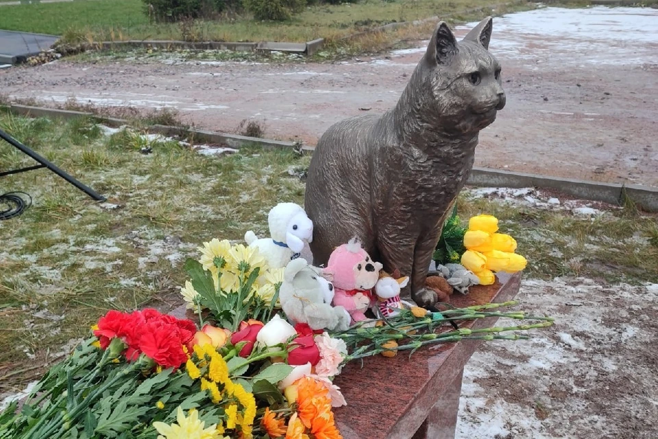 В Петербурге установили памятник коту Кузе. Фото: vk.com/public216449934