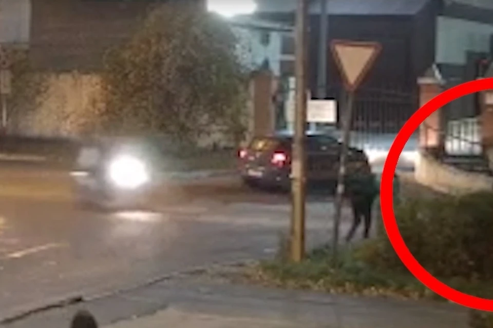 В Липецке задержали 18-летнего мотоциклиста, который сбил пешехода и уехал