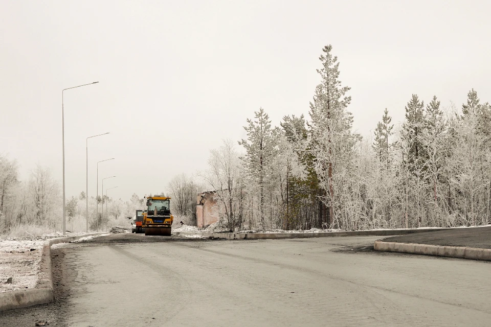 Уже выполнены работы первого этапа. Фото: vk.com/lebedevin