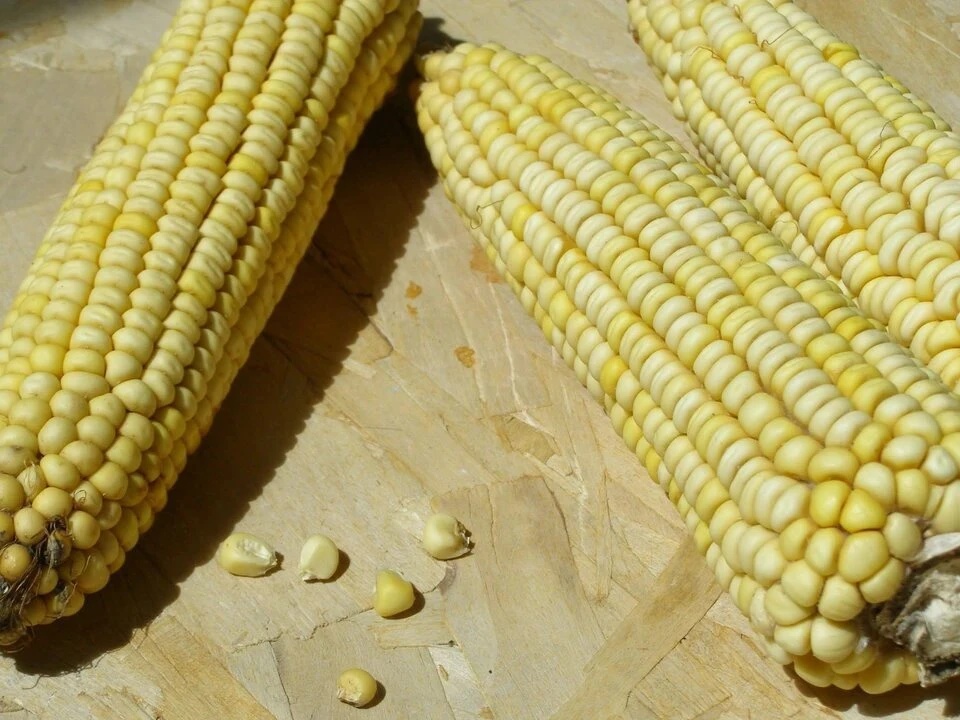 Продукция могла попасть в магазины других сибирских регионов