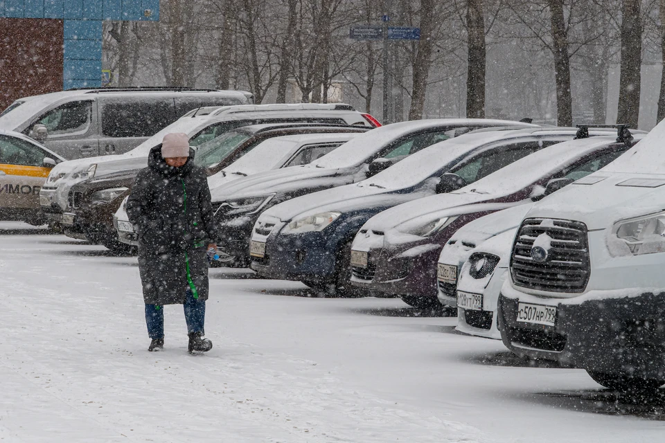 Фото: Михаил Фролов