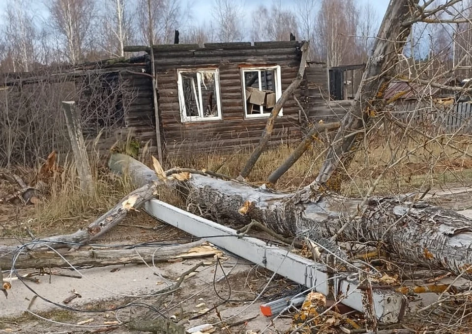 В результате сильного ветра. Ураган во Владимирской области. Уракан во Владимирской области 3 июня. Последствия сильного ветра в Нижегородской области. Сильный ветер в Высоковске.