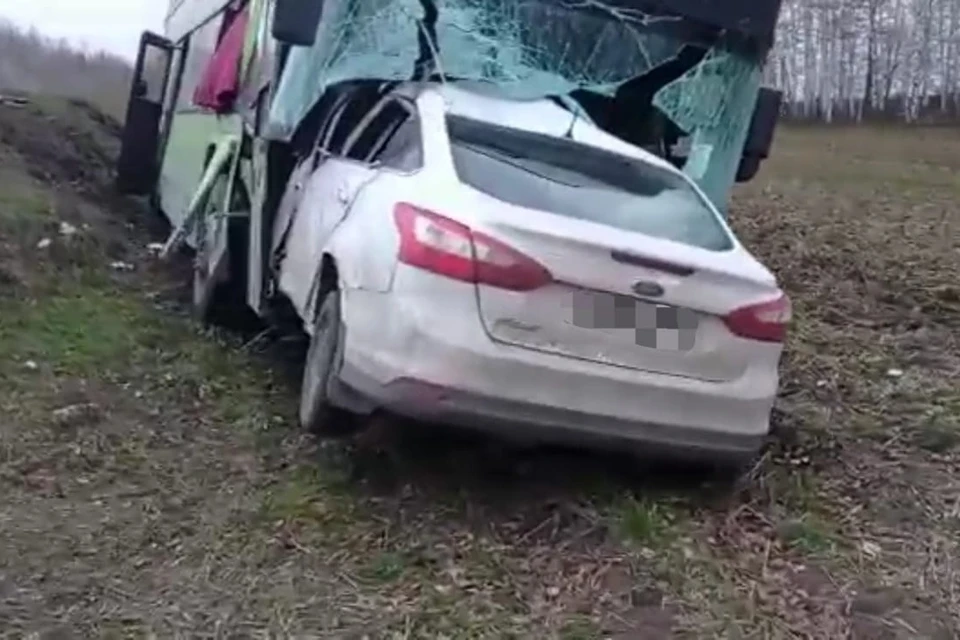 Три человека погибли в ДТП с автобусом и Ford Focus в Рязанской области.