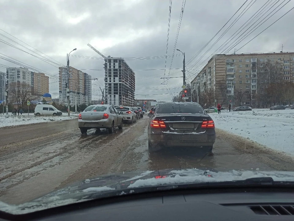 Фото: Владимир Бердников