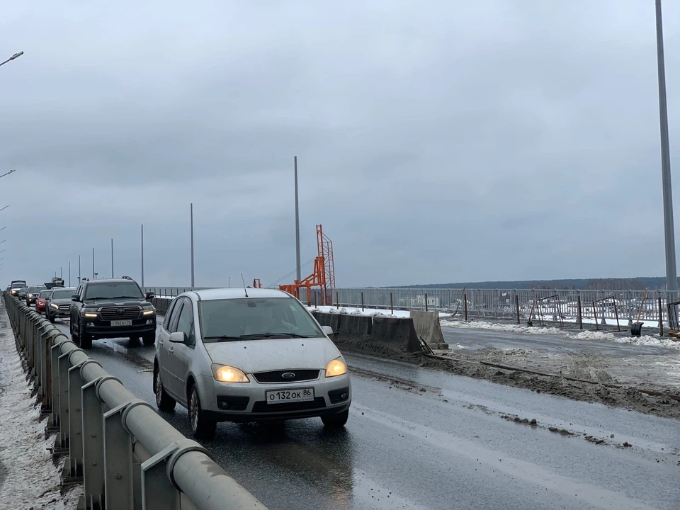 . Фото: Алёна Мищенко / «АиФ-Томск»