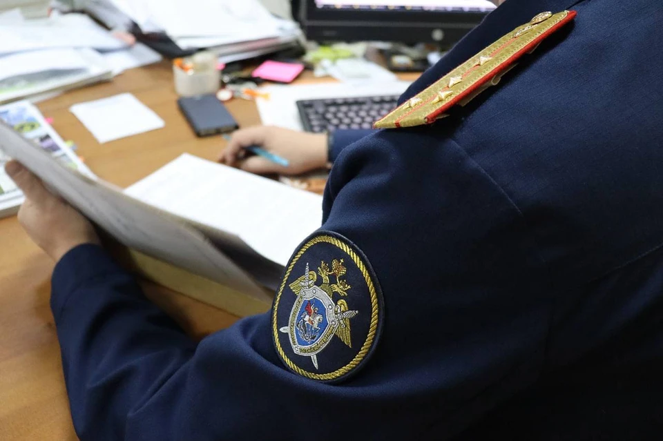 В настоящее время уголовное дело направлено в суд для рассмотрения по существу.