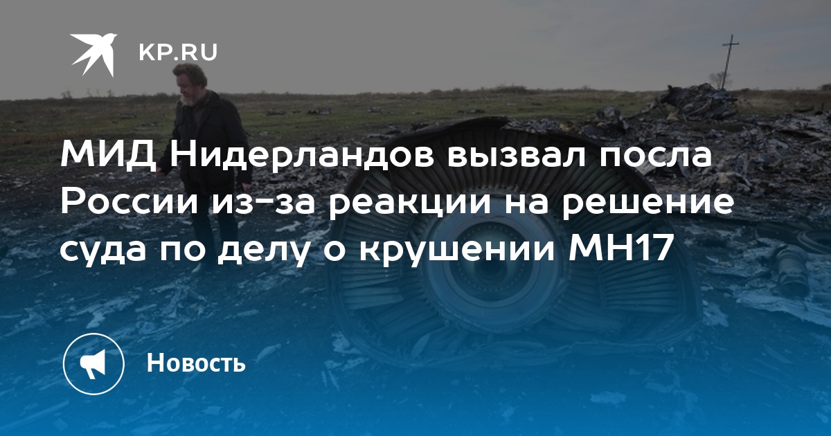 МИД Нидерландов вызвал посла России из-за реакции на решение суда по делу о крушении MH17