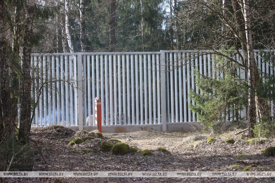 Первый участок электронного забора на границе с Беларусью ввела в эксплуатацию Польша. Фото: БелТА