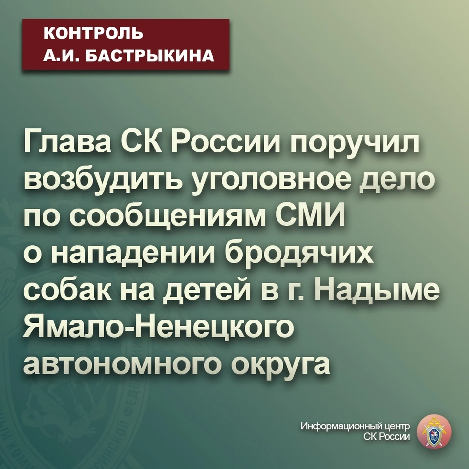 Фото: Инфоцентр СК России