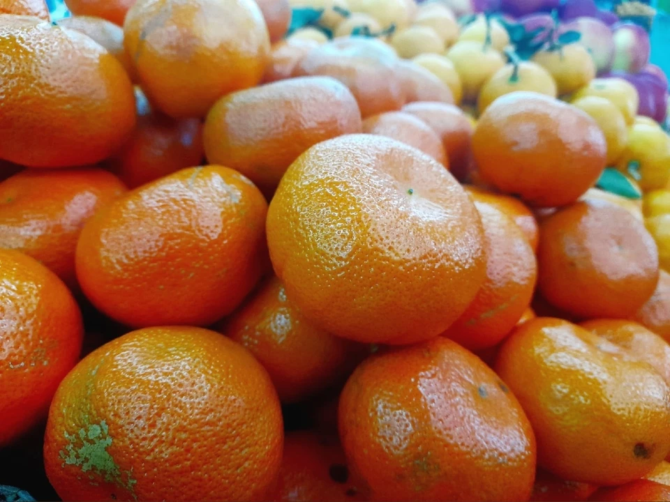 Под Новый год томичам стоит покупать марокканские мандарины
