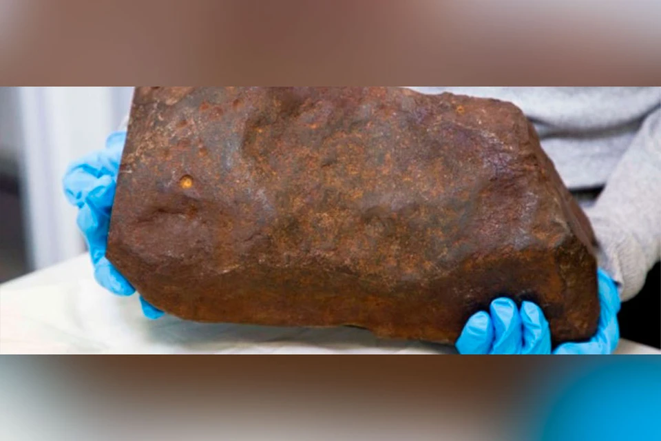 Австралиец Дэвид Хоул нашёл с помощью металлоискателя в региональном парке Мэриборо необычный камень. Фото: Museums Victoria